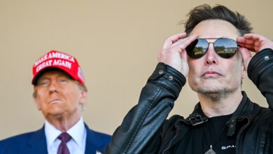 Musk renews harsh rebuke of Dems who rejected deporting sex offenders: vote out ‘every one’