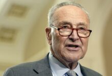 Schumer says Dems must ‘look in the mirror’ after election loss